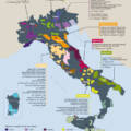 Initiation aux vins italiens